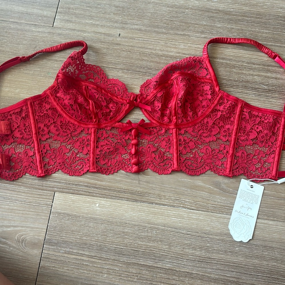 For Love and Lemons Corset